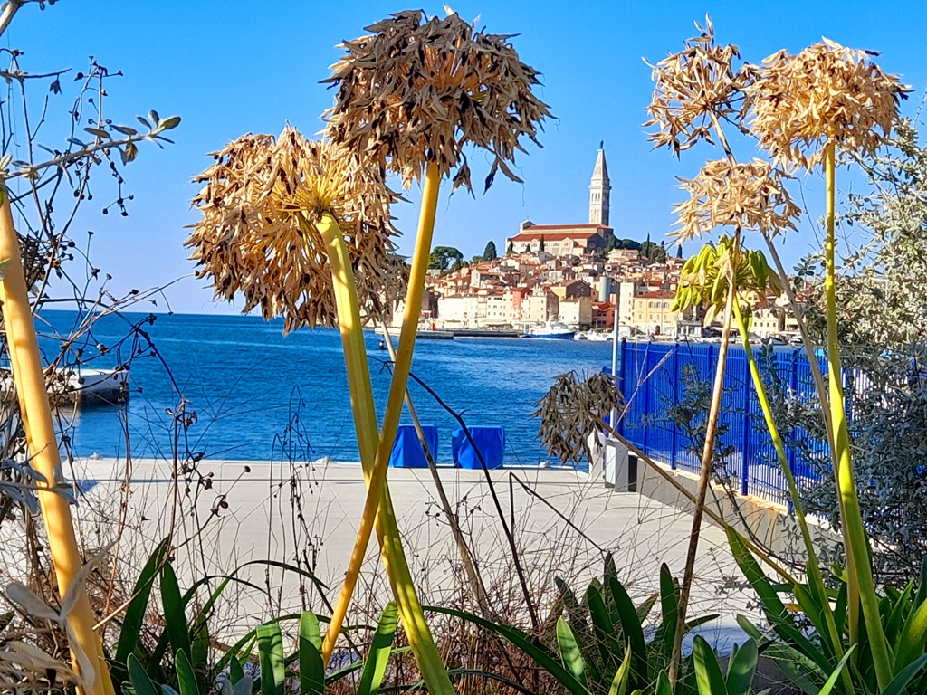 Grad Rovinj u Istri